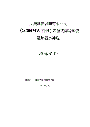 XX发电企业冷塔冲洗招标文件.docx