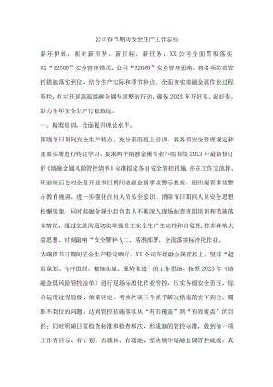公司春节期间安全生产工作总结.docx