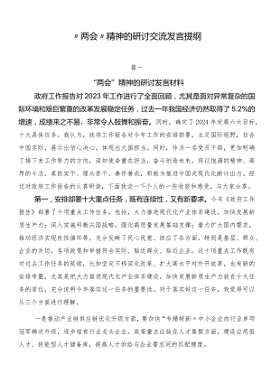 “两会”精神的研讨交流发言提纲.docx