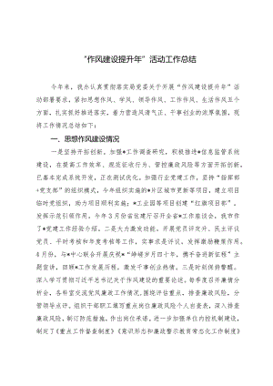 （2篇）“作风建设提升年”活动工作总结“两新”党组织书记抓党建述职评议会议讲话.docx
