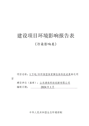 1万吨_年环保型体育弹性体科技成果转化项目环评报告表.docx