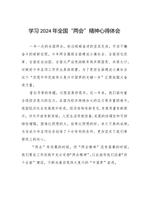 学习2024年两会精神心得体会精选范文四十五篇.docx