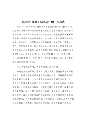 2023年干部选拔任用工作报告.docx