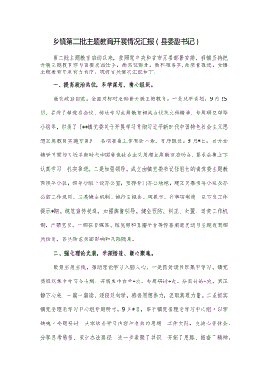 乡镇第二批主题教育开展情况汇报（县委副书记）.docx