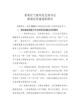某某区气象局党支部书记抓基层党建述职报告.docx