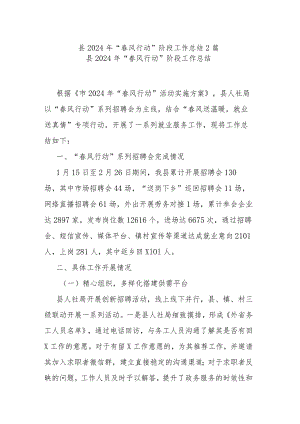县2024年“春风行动”阶段工作总结2篇.docx