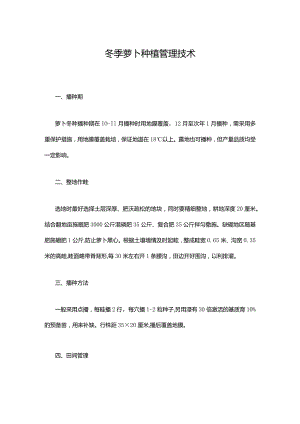 冬季萝卜种植管理技术.docx