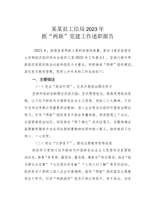 某某县工信局2023年抓“两新”党建工作述职报告.docx