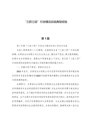 (十篇)“三抓三促”行动情况总结典型经验.docx