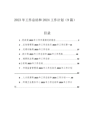 2023年工作总结和2024工作计划（9篇）.docx