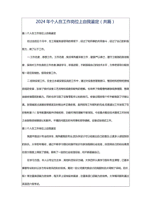 2024年个人在工作岗位上自我鉴定（共篇）.docx