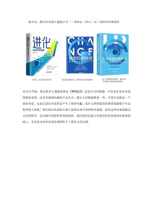 杨少杰：揭开世界最小超级公司——英伟达（NVIDIA）的组织管理面纱.docx