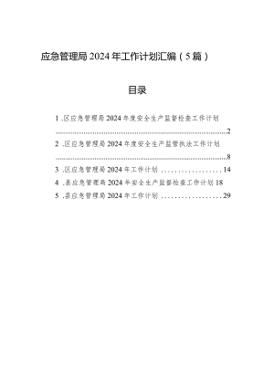 应急管理局2024年工作计划汇编（5篇）.docx