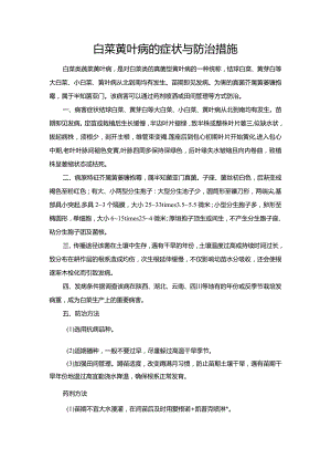 白菜黄叶病的症状与防治措施.docx