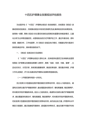 十四五护理事业发展规划评估报告.docx