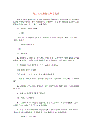 新员工试用期标准规章制度.docx