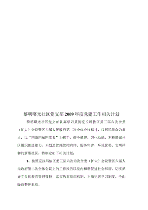 XX社区党支部年度党建工作计划.docx
