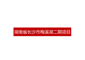 湖南长沙市梅溪湖二期项目投资可行性分析报告-2021城市进入、产品定位.docx