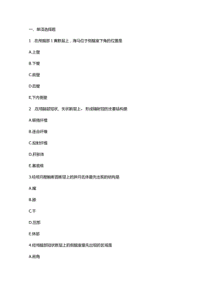 齐鲁医药学院2023医学影像技术专升本《人体影像解剖学》复习题2及参考答案.docx