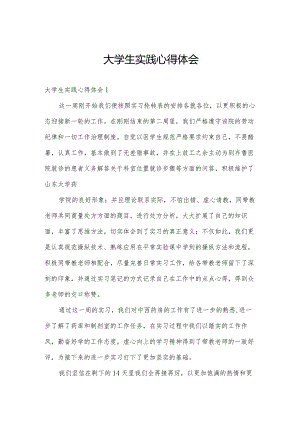 大学生实践心得体会.docx