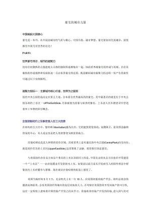 大国企业内刊-豪宅的城市力量.docx