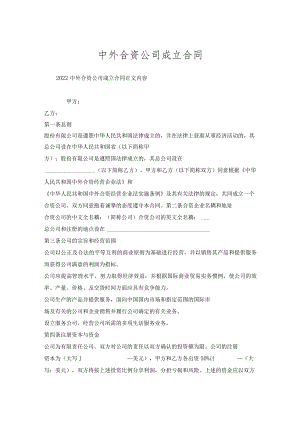 中外合资公司成立合同.docx