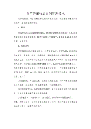 白芦笋采收后田间管理技术.docx