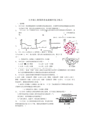 浙教版科学九年级上册血液循环练习.docx