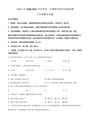 29.人教版·安徽省马鞍山市期末.docx