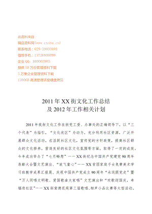 XX街文化年度工作总结与工作计划.docx