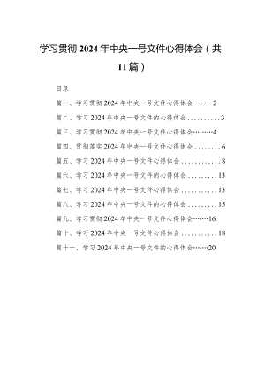 （11篇）学习贯彻2024年中央一号文件心得体会汇编.docx