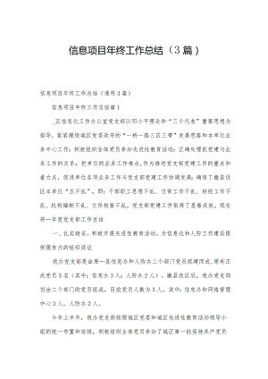 信息项目年终工作总结（3篇）.docx
