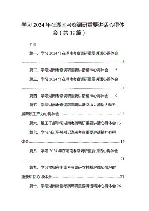 学习2024年在湖南考察调研重要讲话心得体会12篇供参考.docx