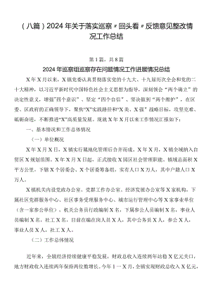 （八篇）2024年关于落实巡察“回头看”反馈意见整改情况工作总结.docx