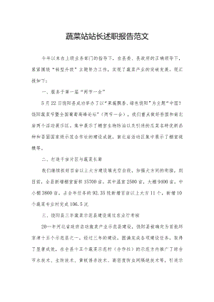 蔬菜站站长述职报告范文.docx