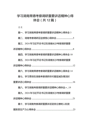 学习湖南常德考察调研重要讲话精神心得体会(精选12篇).docx