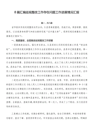 8篇汇编巡视整改工作存在问题工作进展情况汇报.docx