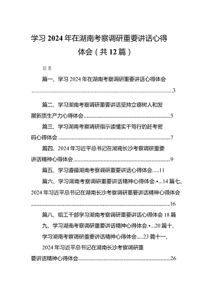 （12篇）学习2024年在湖南考察调研重要讲话心得体会.docx