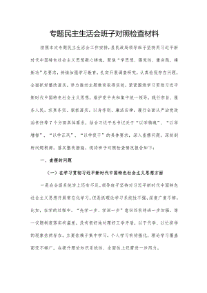 专题民主生活会班子对照检查材料.docx