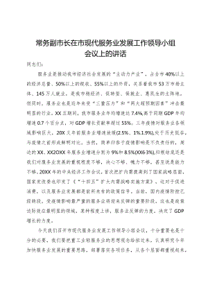 常务副市长在市现代服务业发展工作领导小组会议上的讲话.docx