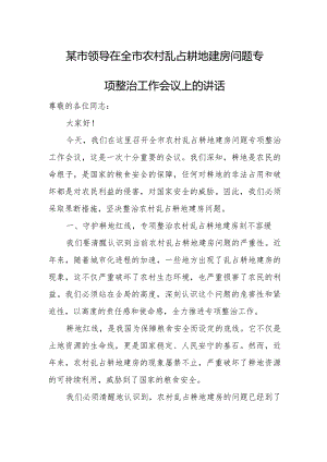 某市领导在全市农村乱占耕地建房问题专项整治工作会议上的讲话.docx