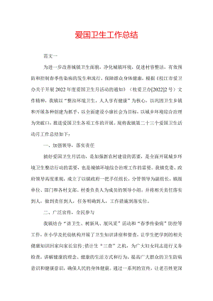 镇爱国卫生年度工作总结.docx