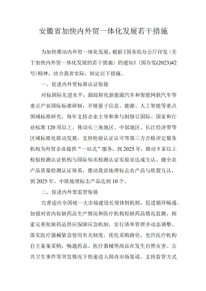 安徽省加快内外贸一体化发展若干措施.docx