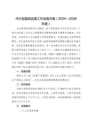 市大型医院巡查工作实施方案（2024—2026年度）.docx