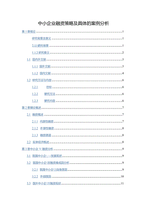 【中小企业融资策略及具体的案例探析14000字】.docx