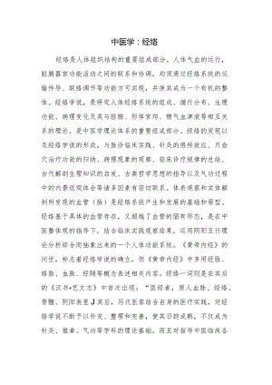 中医学：经络.docx