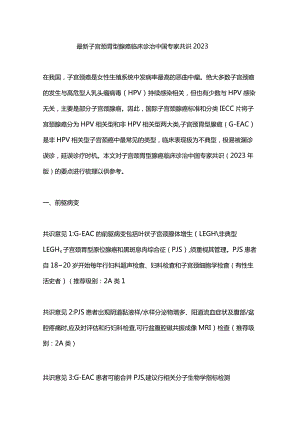 最新子宫颈胃型腺癌临床诊治中国专家共识2023.docx