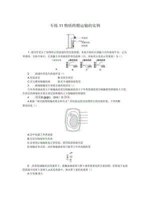 专练11物质跨膜运输的实例.docx