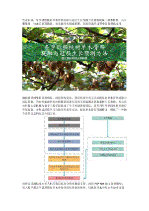 【农业科研】冬季猕猴桃树单木骨架提取与冠层生长预测方法.docx