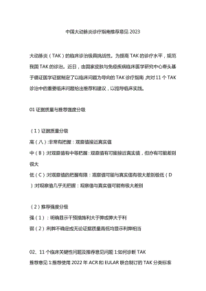 中国大动脉炎诊疗指南推荐意见2023.docx